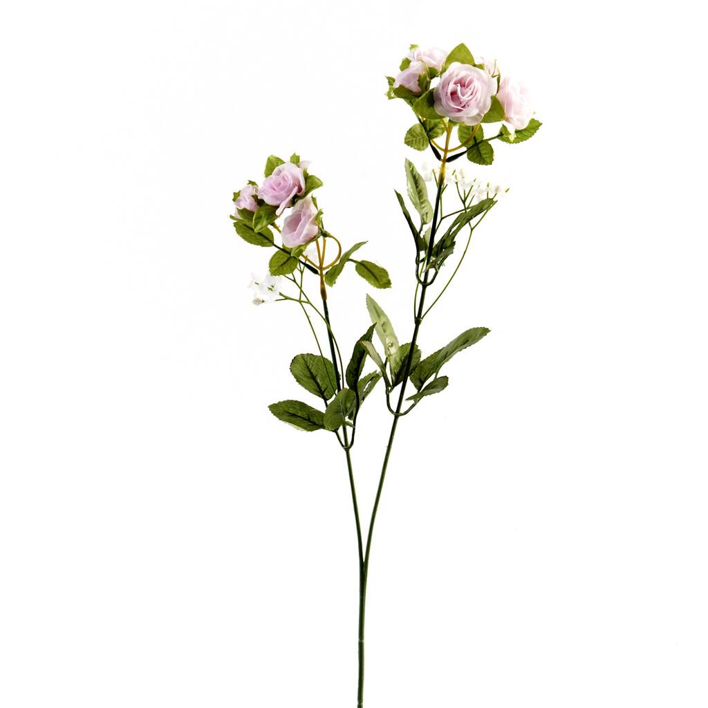MP195728_1.jpg img